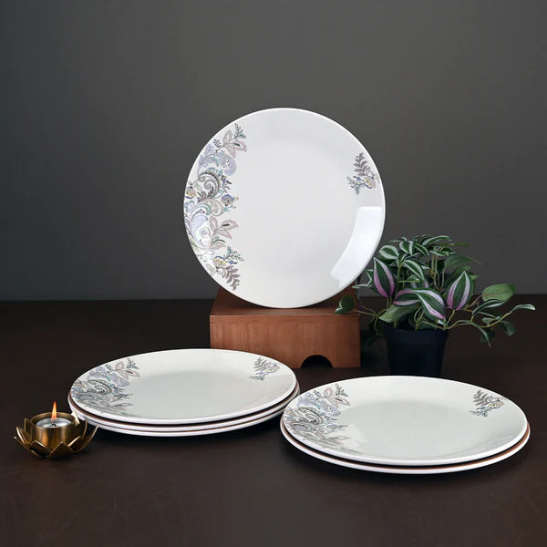 6pc dinner plate set: Flourish